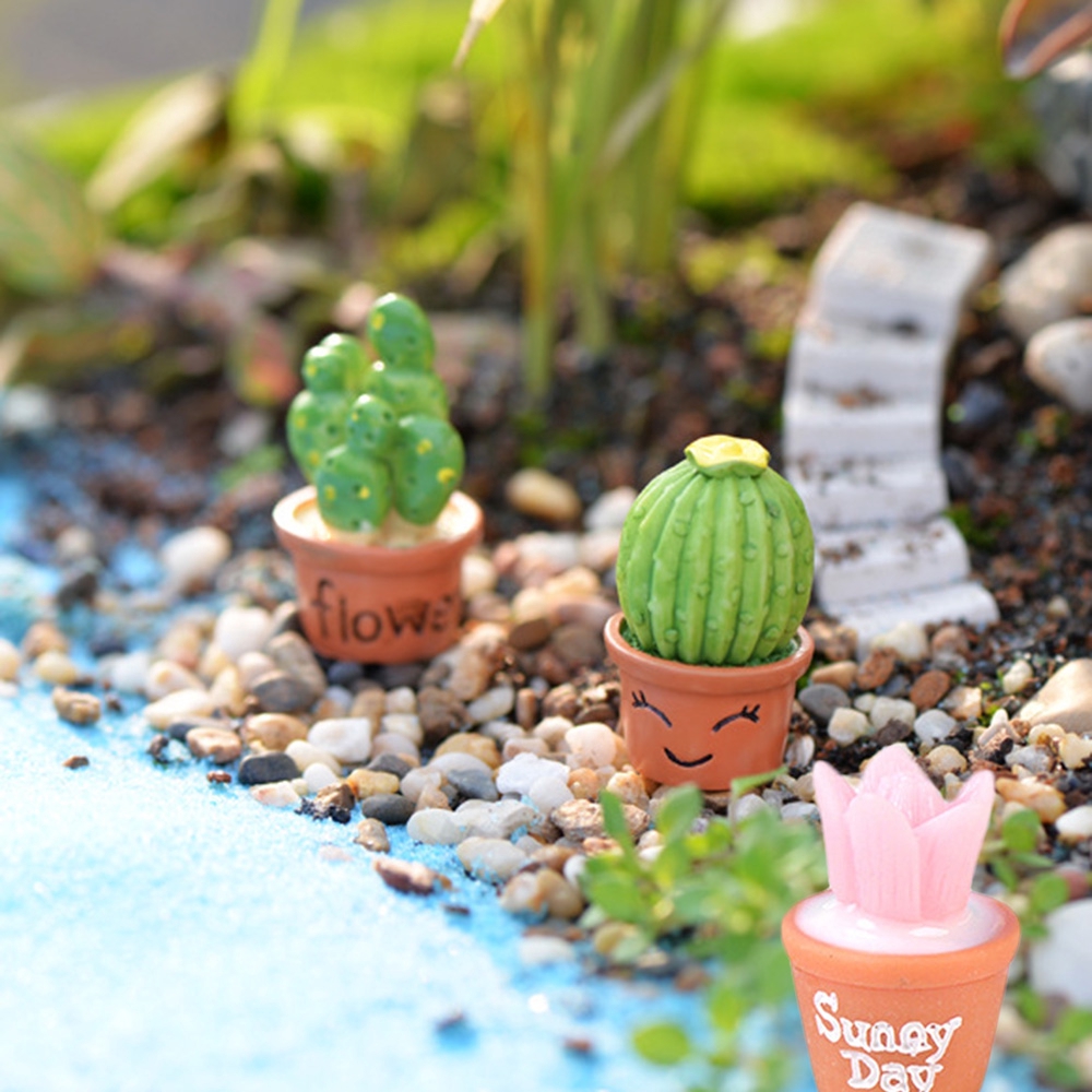 Mô Hình Chậu Sen Đá Mini Trang Trí Tiểu Cảnh