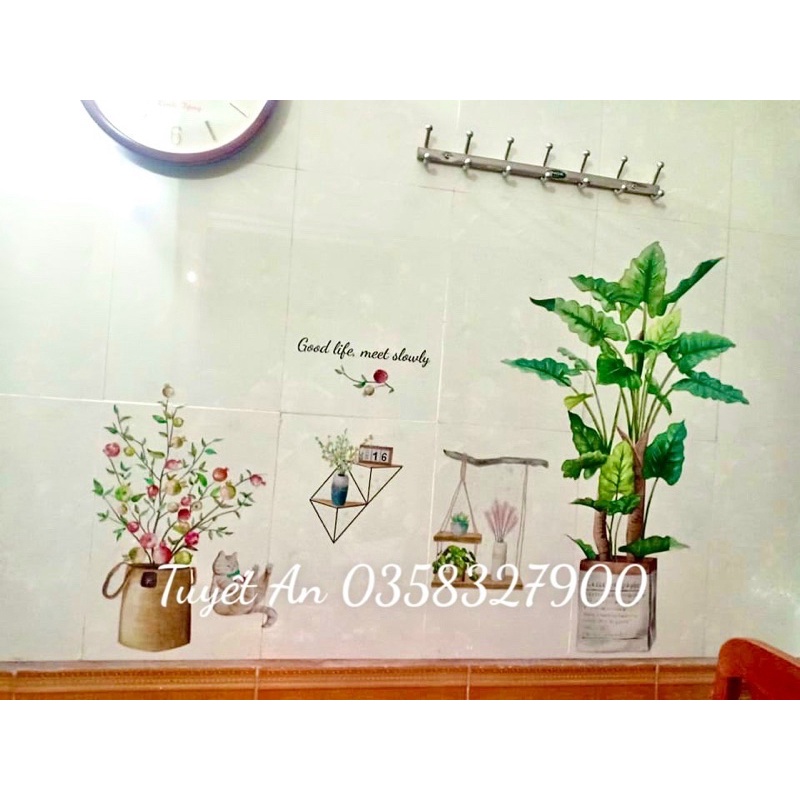 Decal chậu cây hàn quốc xinh xin kèm kích thước