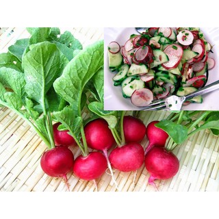 0.5 GR - HẠT GIỐNG CỦ CẢI CHERRY MIX