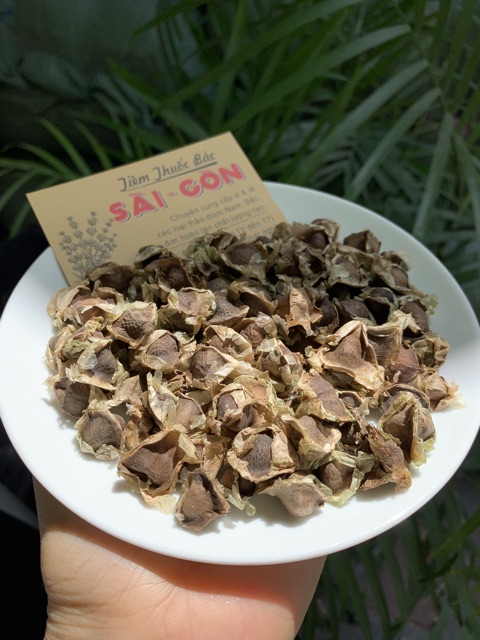 Hạt Chùm Ngây 100g