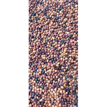 1kg Hạt đậu săng