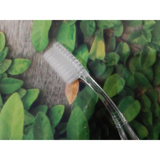 SET BÀN CHẢI KÈM KEM ĐÁNH RĂNG MINI DU LỊCH