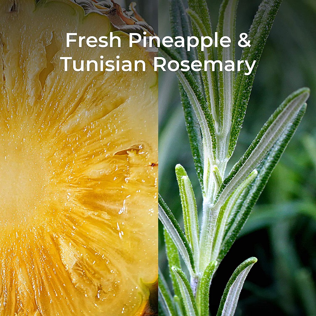 Bộ Tinh Dầu Cắm Điện Airwick Botanica Fresh Pineapple Hương Dứa Và Lá Cỏ Thảo