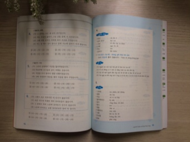 Sách Cẩm Nang Luyện Thi Topik I (Bản màu) - Tác giả: Châu Thùy Trang | BigBuy360 - bigbuy360.vn