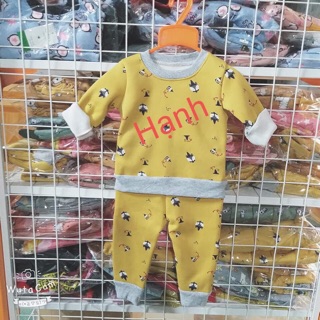Combo 10 bộ nỉ cho bé