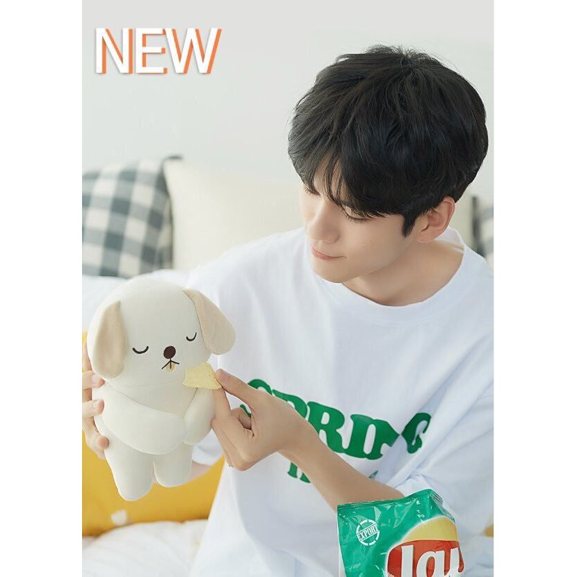 [CÓ SẴN] GẤU BÔNG TSH - MINI ONGNABLE