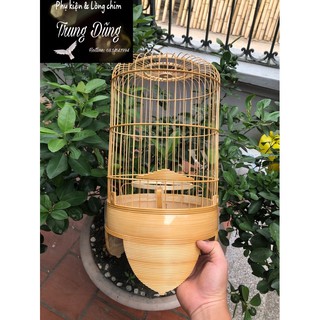 Lồng khuyên Dừa - Tách chỉ