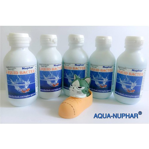 Nuphar Liquid Bacter chống shock