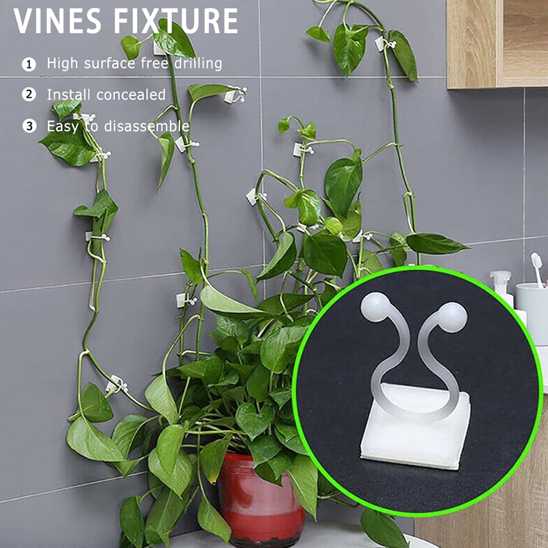10pcs Invisible Wall Rattan Clamp Clip,Agriculture Plant Fixing Clips,Vegetables Climbing Plant Fixing Clip