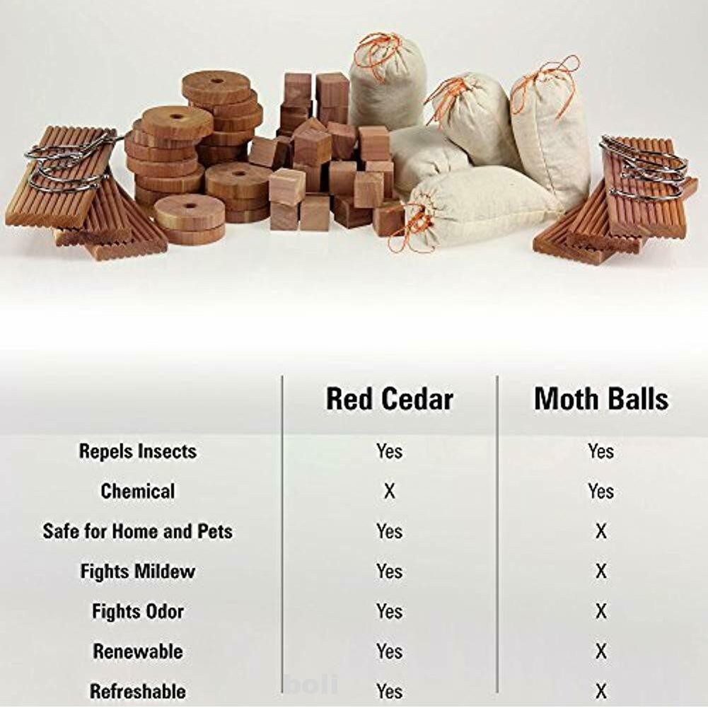 20pcs Hanging Reduce Odor Moth Repellent Air Fresher Ring Protective Cedar Wood