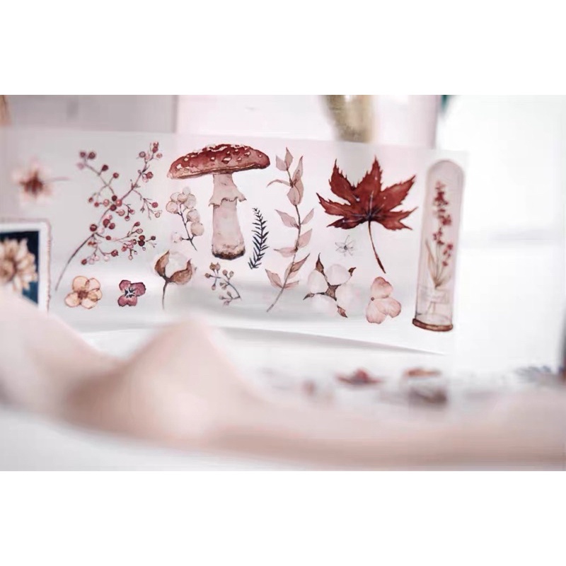 Freckles Tea Vol 1 chiết lẻ chu kỳ 77cm băng dán hình cuộn Flower Letter and Wind