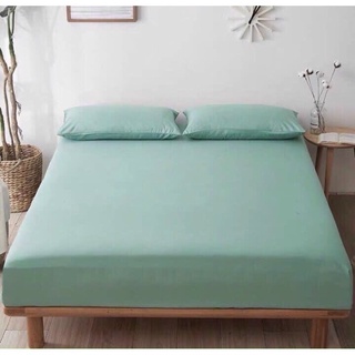 Sét ga gối cotton Tici phong cách hàn Quốc ( không kèm ruột )