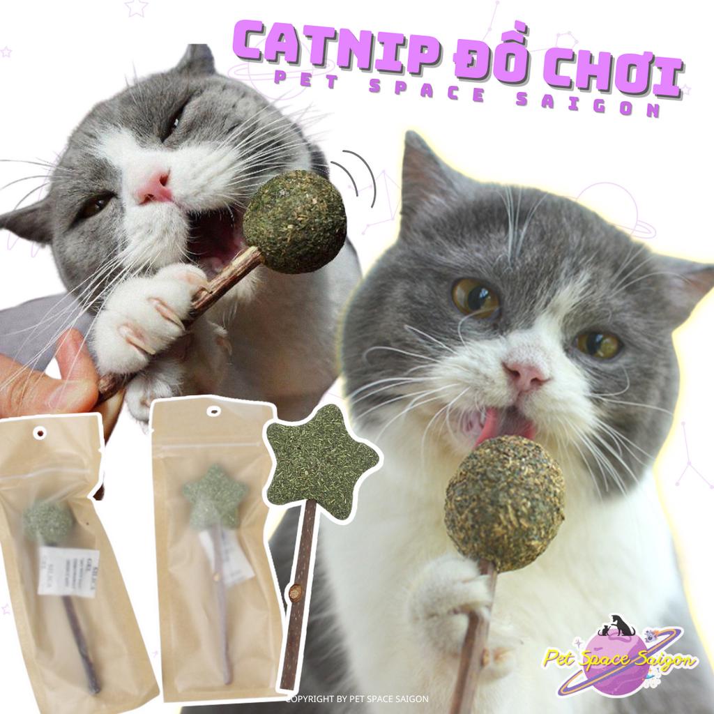 Que catnip cỏ mèo giảm stress thư giãn cho mèo