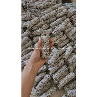 BÓ XÔ THƠM TRẮNG-THANH TẨY (WHITE SAGE)