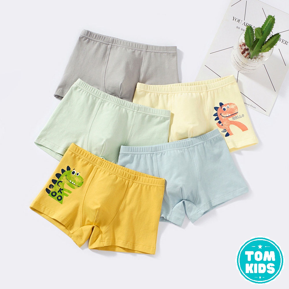 Hộp 5 Quần Chíp Bé Trai Chất Liệu COTTON Kháng Khuẩn Co Giãn Đàn Hồi Tốt Họa Tiết Khủng Long Dễ Thương Mã DL-007