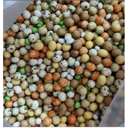 Combo 2,5 kg đậu trộn đủ vị