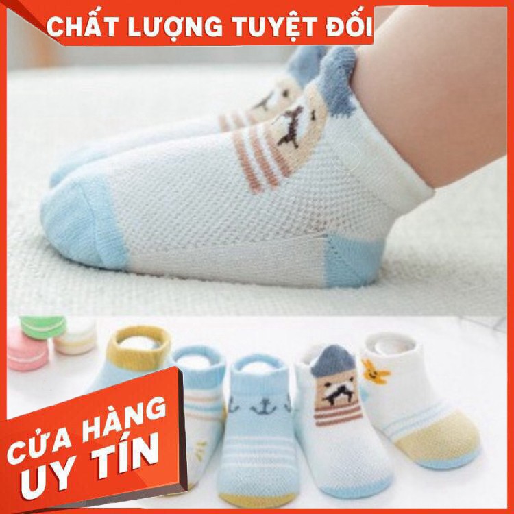 Set 5 Đôi Tất Cho Bé  Set 5 Đôi Vớ với các họa tiết siêu cưng cho bé trai bé gái