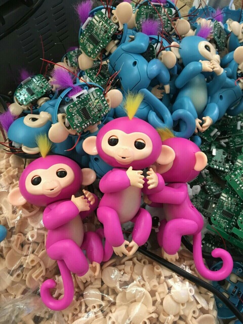 Khỉ đủ ngon tay