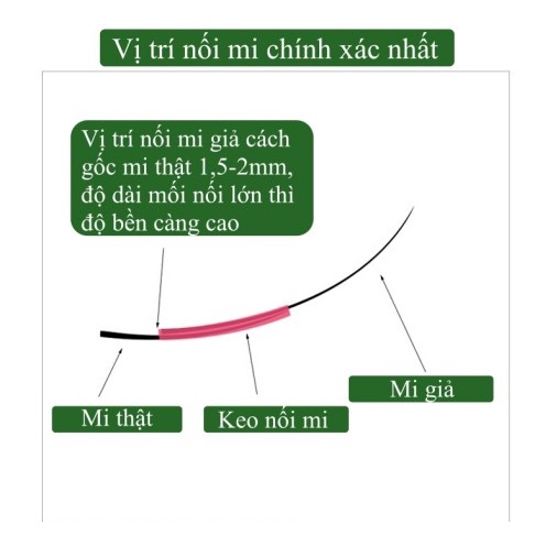 Lông mi giả chùm Katun Nesura Hàn Quốc Katun/10D/0.07/C