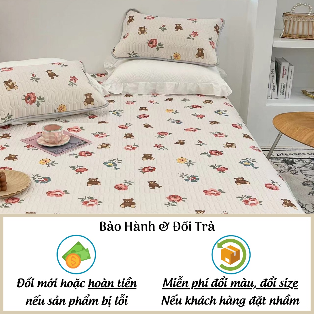 Chiếu điều hòa 5D cao su non Tencel Latex nhập khẩu cao cấp - Otama Bedding