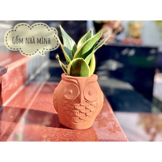 Chậu Cú đất nung (mẫu lu)