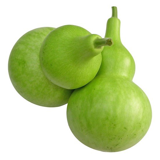 Hạt Giồng Bầu HỒ LÔ - Bầu Chưng Tết gói 10hạt