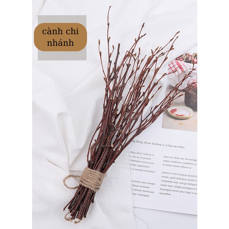 Cành Lá Khô Chụp Ảnh Trang Trí Nhà Cửa