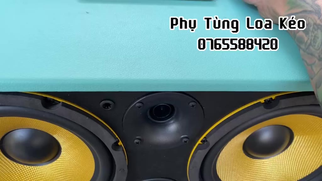 Loa Bass 20cm 4ohm 50w 1 Loa dùng cho Mạch Mini | BigBuy360 - bigbuy360.vn