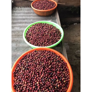 Organic Blend 500g