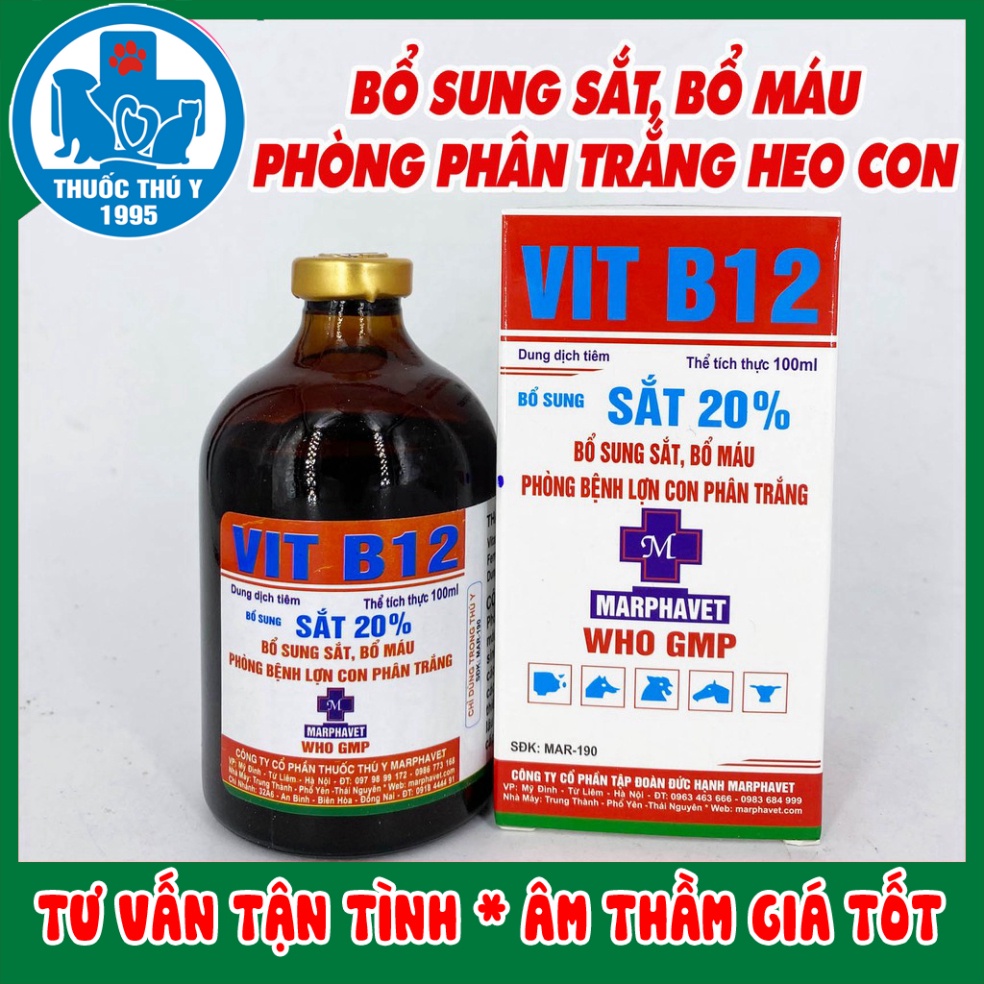 Hộp SẮT 20% VIT B12 100ml Phòng thiếu máu do thiếu sắt, nâng cao sức đề kháng ở vật nuôi, heo con, heo nái