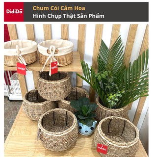 Giỏ cói cắm hoa để bàn D17xH14cm