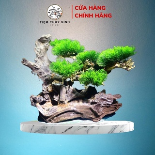Lũa bonsai thủy sinh, layout bonsai cho bể cá thuỷ sinh, bonsai setup bể cá, cây bonsai trang trí bể cá