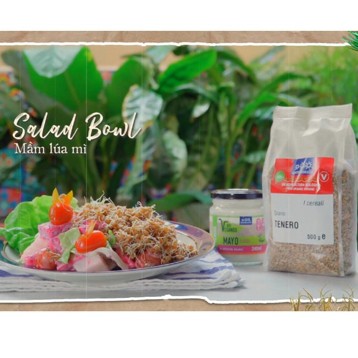 Hạt Cỏ Lúa Mì Hữu Cơ Organic WheatGrass Seeds Sottolestelle 500g