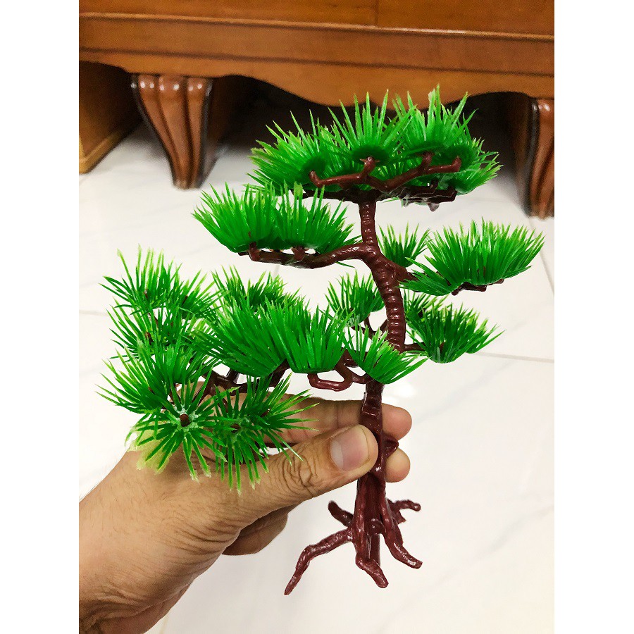CÂY THÔNG TRANG TRÍ HỒ CÁ NON BỘ CAO 15CM