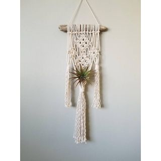 Dây macrame dây treo cây không khí treo chậu hoa nhỏ