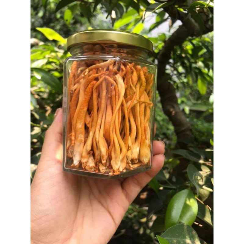 100GR ĐÔNG TRÙNG HẠ THẢO SẤY THĂNG HOA | BigBuy360 - bigbuy360.vn