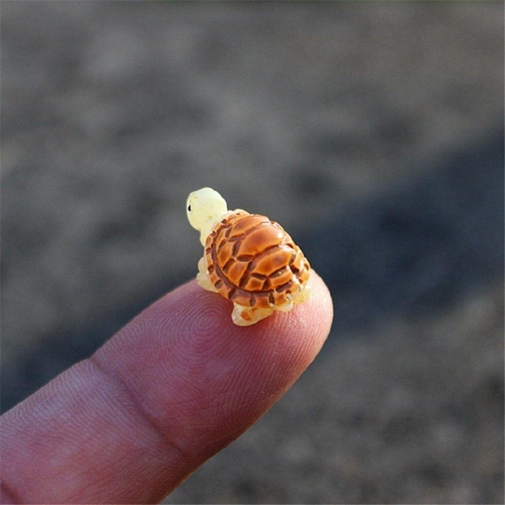 Tượng Rùa Mini Dùng Trang Trí Vườn Cây Bonsai Độc Đáo