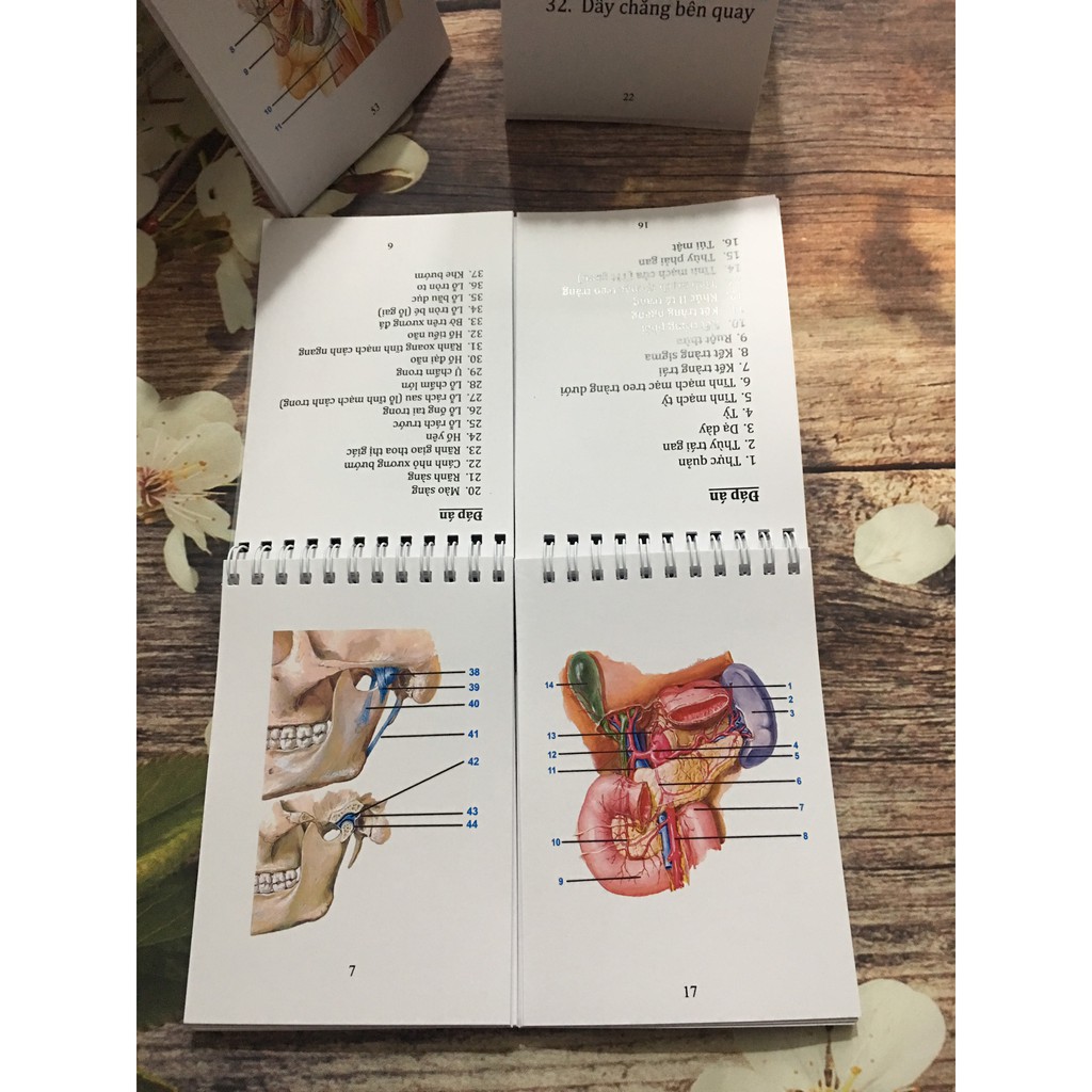 Combo Sổ tay giải phẫu 2 tập
