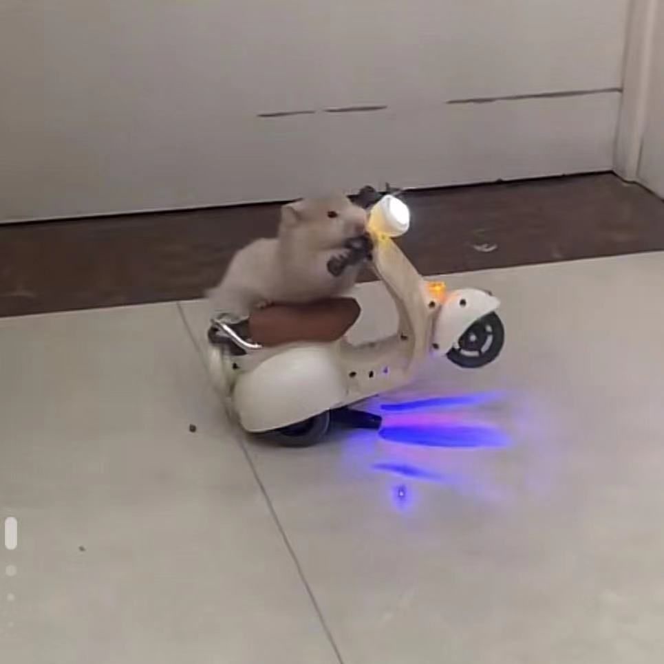 Đồ Chơi Mô Hình Xe Máy Điện Xoay 360 Độ Có Âm Thanh Dễ Thương Cho Chuột Hamster Hyun Technique 3 Tuổi