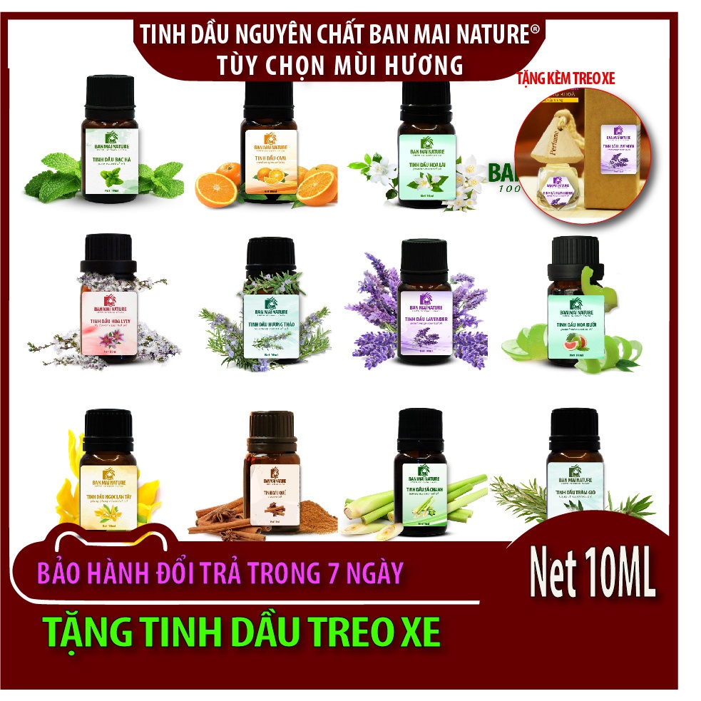 (Tặng Quà) Tinh dầu 10ml nguyên chất - Tùy chọn mùi hương - Tinh dầu ban mai - Thơm phòng, khử mùi, thư giãn.