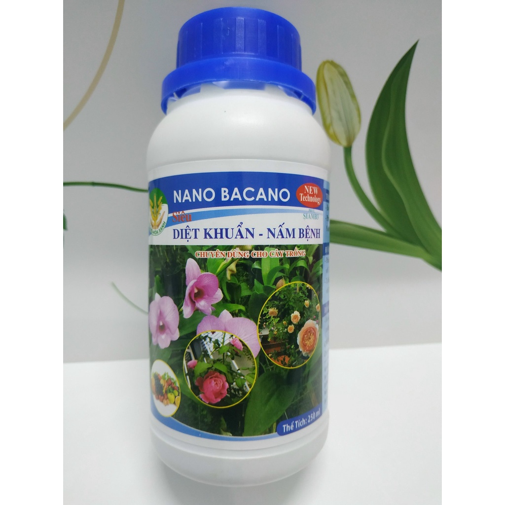 Diệt sạch nấm bệnh vi khuẩn hoa hồng hoa lan thương hiệu BACANO Chai 100ml-250 ml
