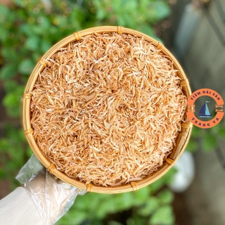 [200Gr] Tép Khô 🍀FREESHIP 🍀 Moi Khô 🍀 Ruốc Khô Biển Tự Nhiên Không Chất Bảo Quản, Ko Sạn Cát Loại Ngon Nhất Biển Nghệ An