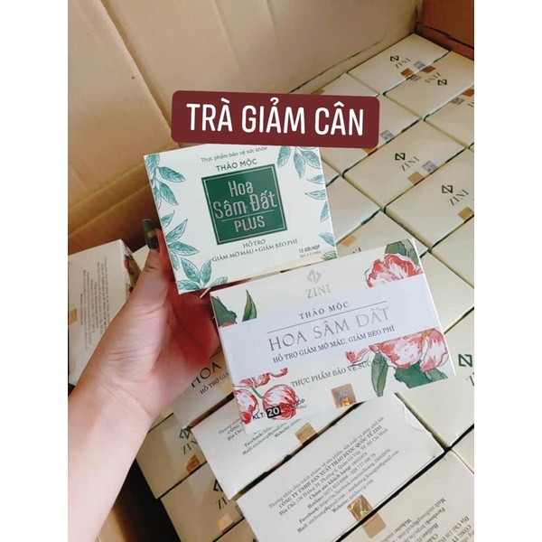 Trà Giảm cân Hoa Sâm Đất Zn Chính Hãng