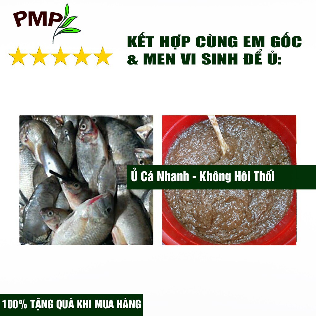 Mật Rỉ Đường MALOSA PMP Mật Nuôi Vi Sinh, Ủ Từ Đậu Nành, Trứng, Chuối, GE Dứa, GE Bồ Hòn, Rác Thải Hữu Cơ