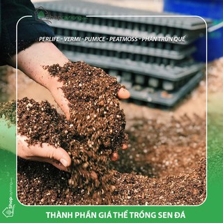 Giá thể Soilmix, đất trồng sen đá, xương rồng bao 6kg