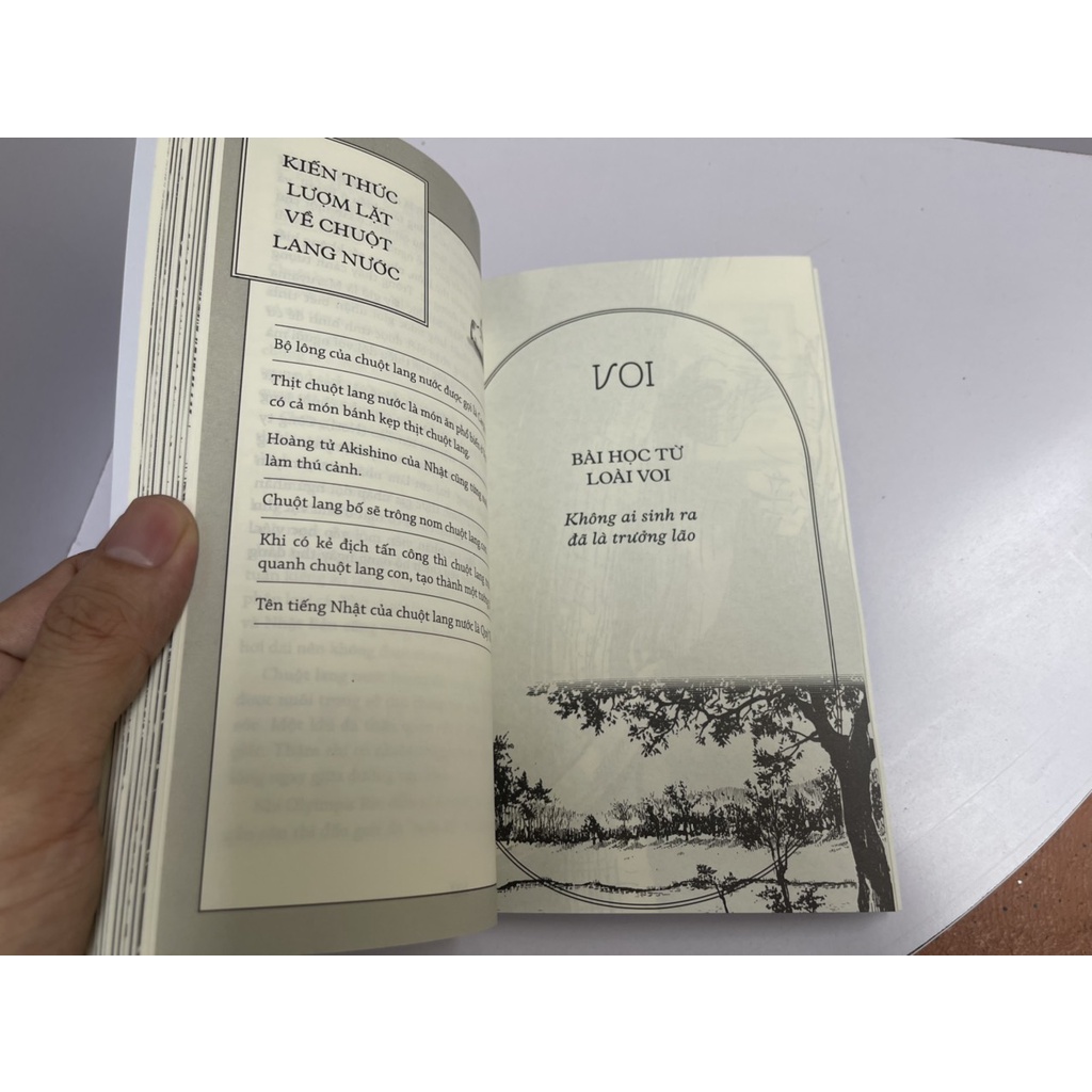Sách NXB Trẻ - Muông thú dạy ta bài học cuộc sống – Nhiều tác giả - Bình Book