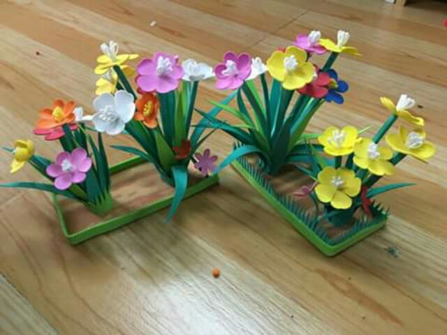 Cây hoa _nhiều màu | BigBuy360 - bigbuy360.vn