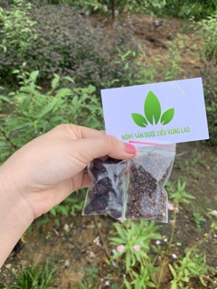 Combo Hạt Dổi - Mắc Khén (2 in 1)