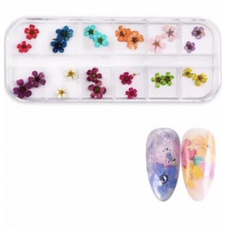 Hoa khô ẩn gel,trang trí móng