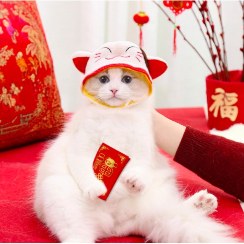 MŨ NÓN THÚ CƯNG DỄ THƯƠNG - CHỌN MẪU